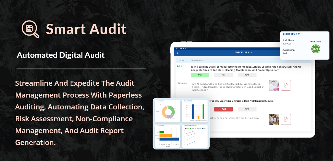 Smart Audit screenshot 1