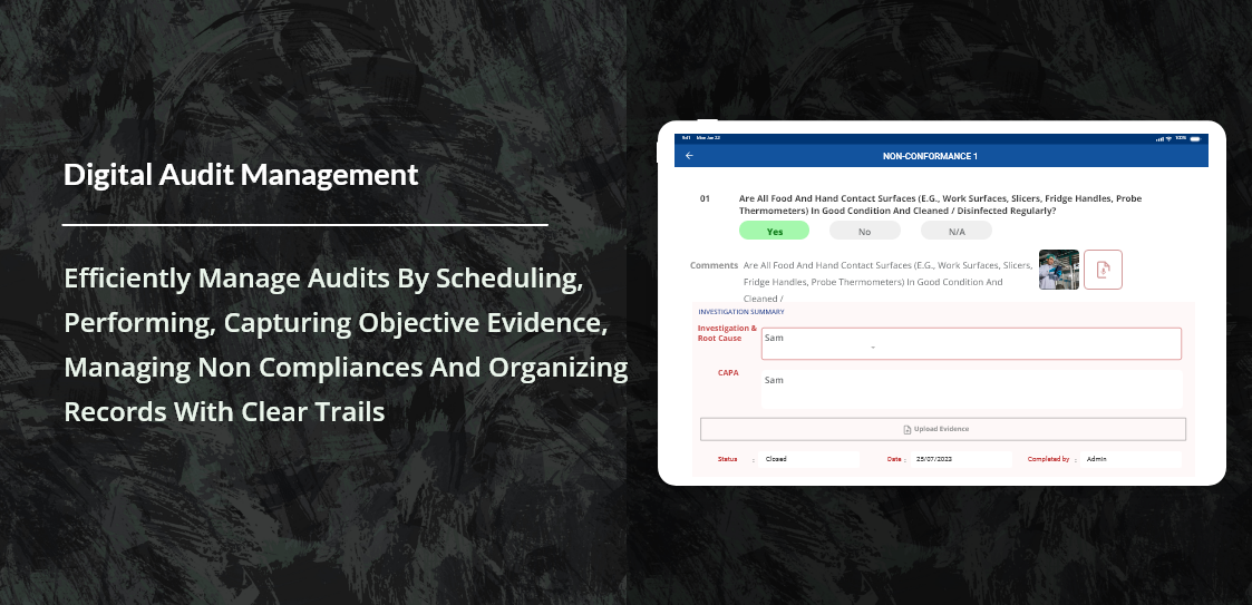 Smart Audit screenshot 4